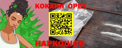 прущие грибы Ярославль