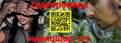 прущие грибы Ярославль