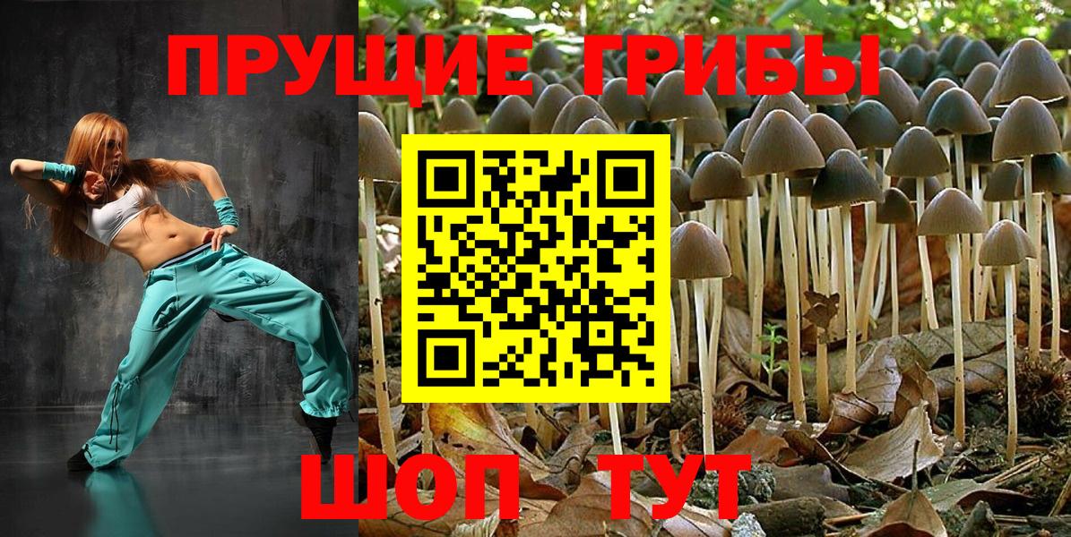 Галлюциногенные грибы GOLDEN TEACHER Вышний Волочёк